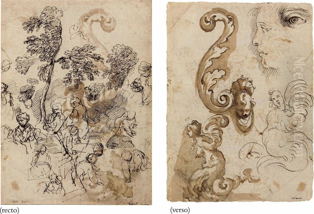 Studies Of Trees Oil Painting by Simone Cantarini (Pesarese)