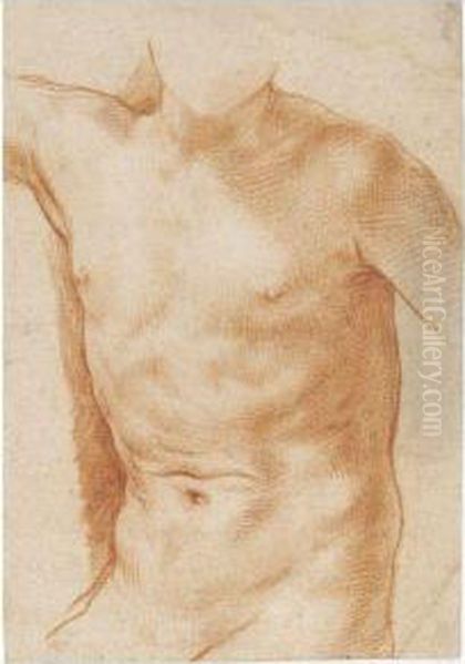 Study Of A Torso Oil Painting by Simone Cantarini (Pesarese)