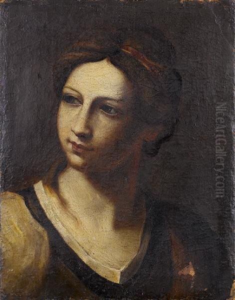 The Head Of A Young Woman Oil Painting by Simone Cantarini (Pesarese)