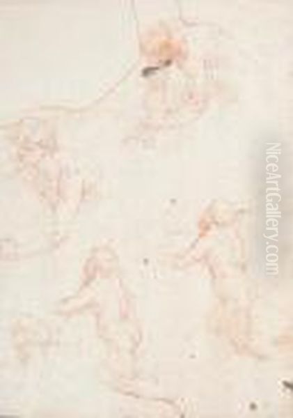 Figure Studies Oil Painting by Simone Cantarini (Pesarese)