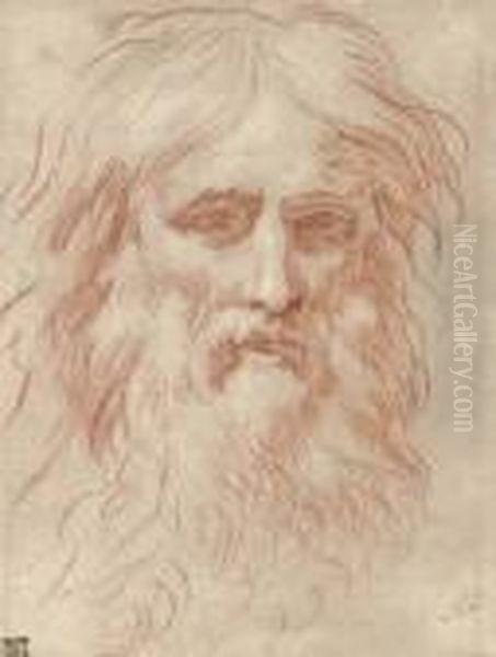 Head Of A Bearded Man Oil Painting by Simone Cantarini (Pesarese)