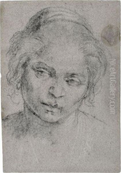 Head Of A Girl Oil Painting by Caravaggio