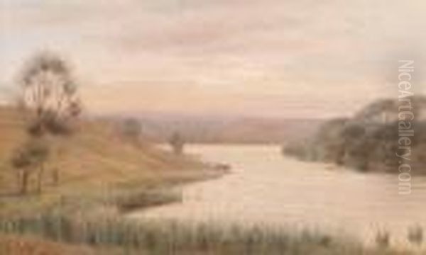 Sunset 
 River Quoile Near Downpatrick Oil Painting by Joseph Carey Carey