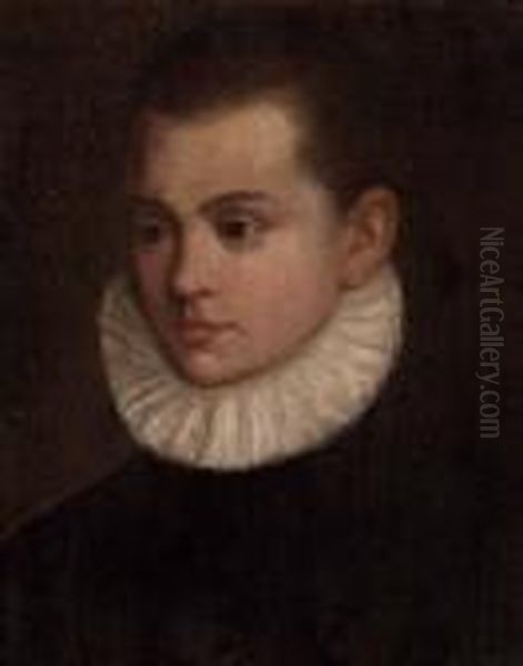 Bildnis Eines Jungen Adeligen Oil Painting by Annibale Carracci