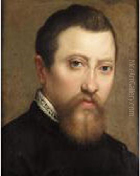 A Portrait Of A Bearded 
Gentleman, Head And Shoulders, Wearing Black With A White Lace Collar Oil Painting by Annibale Carracci
