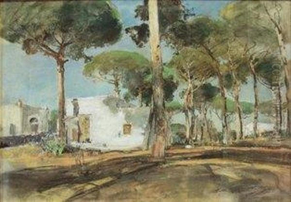 Pineta D'ischia Oil Painting by Giuseppe Casciaro