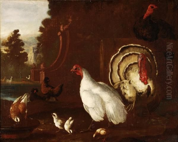 Turkeys,chickens, Peacocks And A Dove In A Baroque Garden Oil Painting by Pieter Casteels