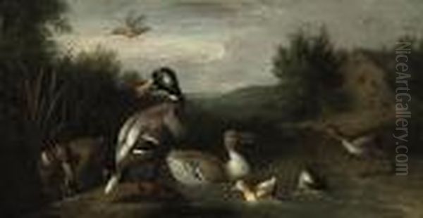 A Wooded River Landscape With A 
Male And Female Mallard, Ducklings,a Snipe, A Kingfisher And Another 
Duck, A Cottage Beyond Oil Painting by Pieter Casteels