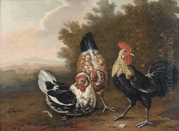 Ornamental Fowl In A Wooded Landscape Oil Painting by Pieter Casteels