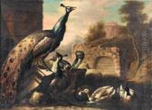 Peacocks With Ducks In A River Landscape Oil Painting by Pieter Casteels