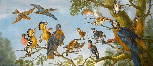 A Concert Of Birds Oil Painting by Pieter Casteels