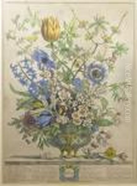 Iii The Monthsin Flowers Oil Painting by Pieter Casteels