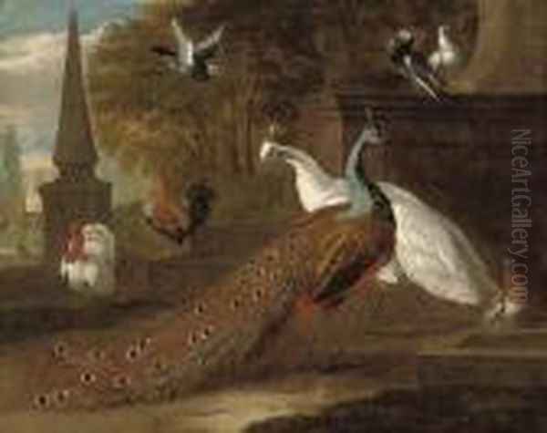 A Peacock, A Peahen, A Turkey, A Cockeral And Pigeons In Aclassical Landscape Oil Painting by Pieter Casteels
