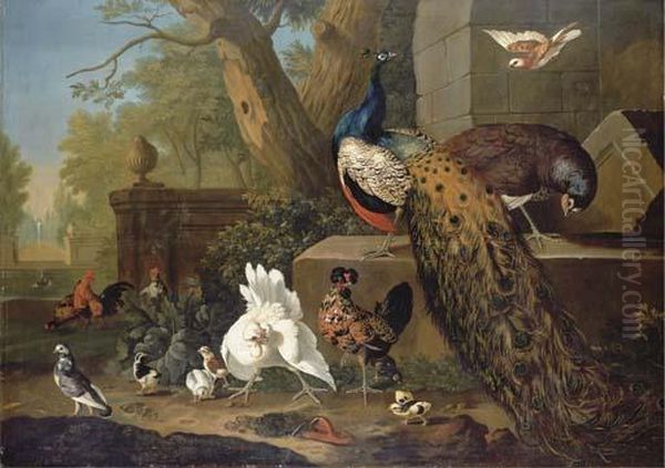 A Peacock And Peahen, Cockerels, Hens, A Pigeon And Other Birds Inan Ornamental Park Oil Painting by Pieter Casteels