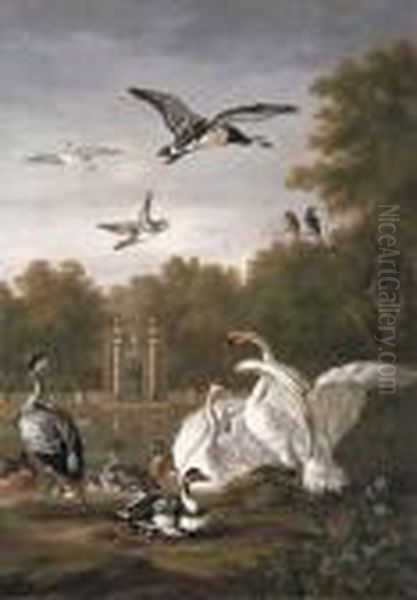 A Park With Swans, Ducks And Other Birds By A Pond Oil Painting by Pieter Casteels