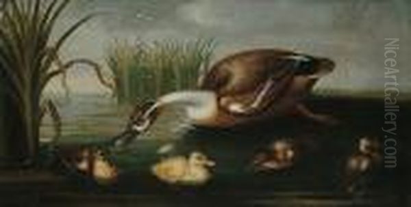 A Duck And Her Four Ducklings In A Stream Amongst Reeds Oil Painting by Pieter Casteels