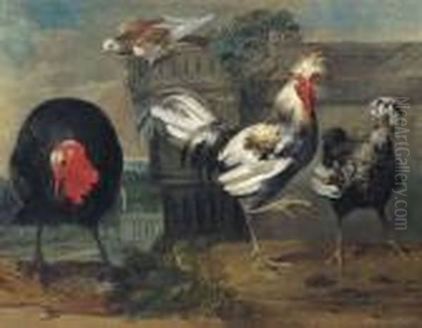 Two Crested Chickens, A Turkey And A Dove In An Architecturallandscape Oil Painting by Pieter Casteels