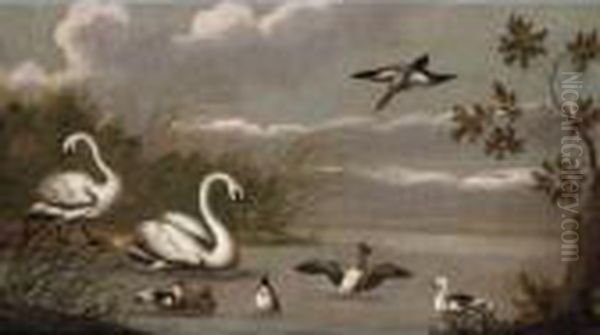 A River Landscape With Swans And Ducks Oil Painting by Pieter Casteels