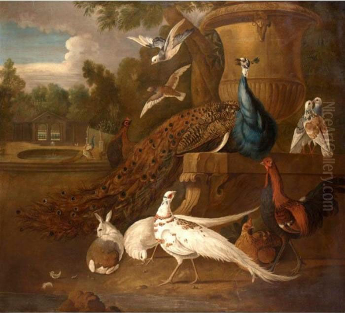 Peacocks, White Pheasants, 
Doves, A Hen, A Cockerel, A Rabbit Together In A Parkland Landscape Oil Painting by Pieter Casteels