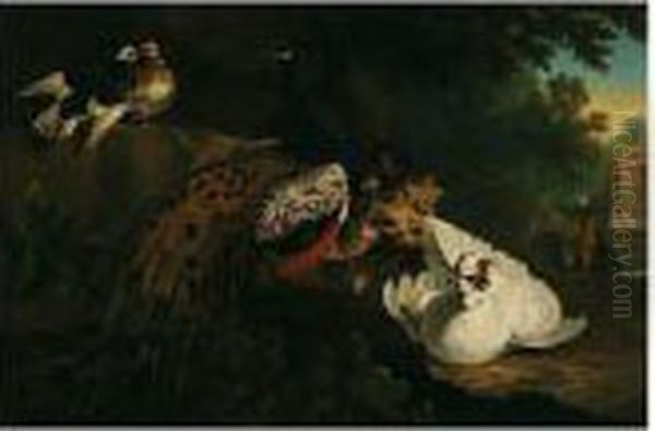 A Concert Of Birds Oil Painting by Pieter Casteels