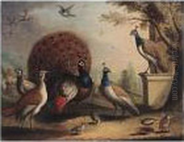 A Peacock And Peahens In An Ornamental Landscape Oil Painting by Pieter Casteels