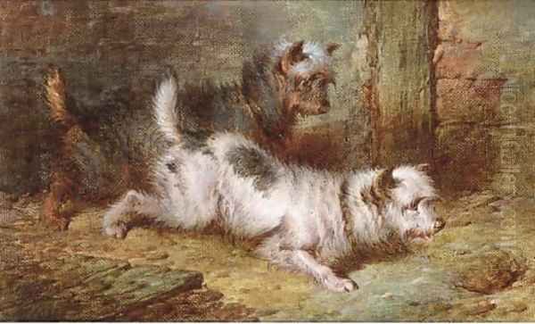 Terriers ratting Oil Painting by Paul Jones
