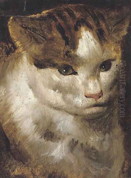 Study of a cat Oil Painting by Jacob Jordaens