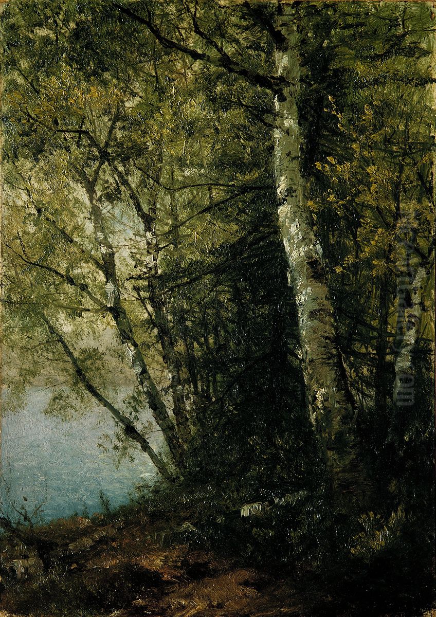 Study Of Beeches Oil Painting by John Frederick Kensett