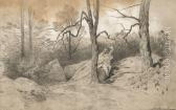 Sous-bois A Fontainebleau Oil Painting by Eugene Ciceri