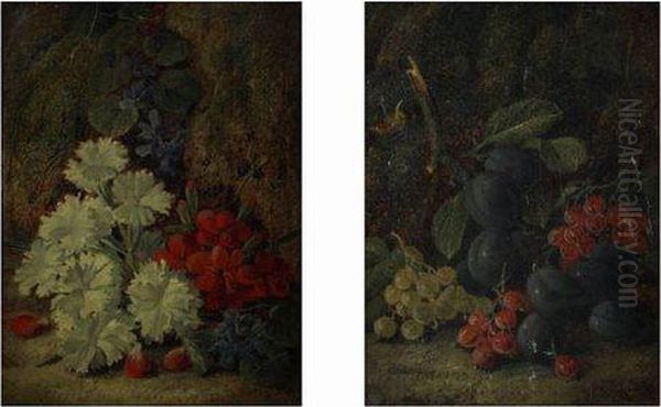 Berries And Damsons 
 Primroses And Geraniums Oil Painting by Vincent Clare