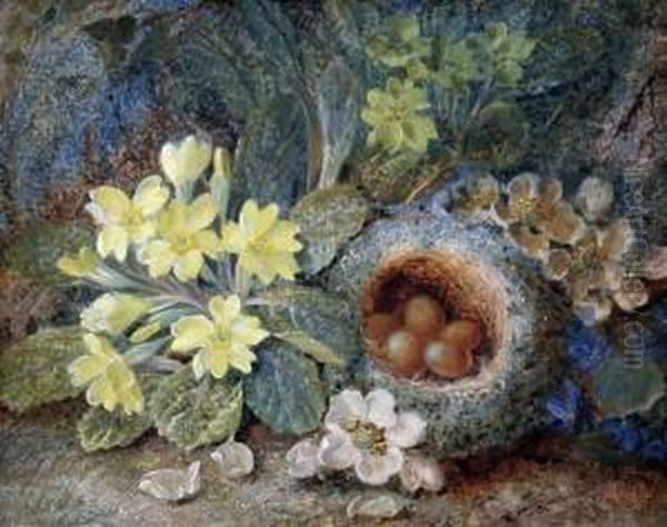 Still Life Of A Primrose, Birds Nest And Apple Blossom Oil Painting by Vincent Clare