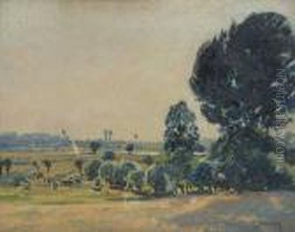 Sommer Am Niederrhein Oil Painting by Maximilian Clarenbach