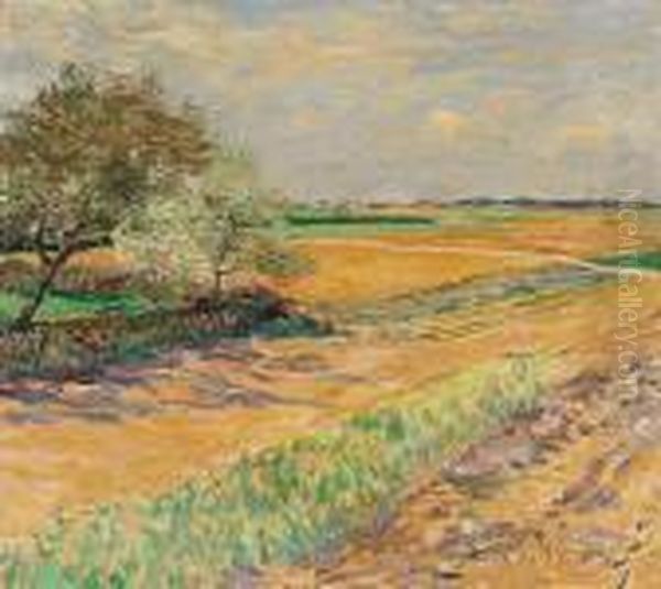 Fruhlingslandschaft Bei Wittlaer Am Niederrhein Oil Painting by Maximilian Clarenbach
