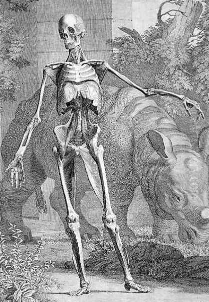 A Skeleton Oil Painting by Knapton, John and Paul