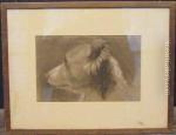 Head Of A Dog Oil Painting by Jean-Baptiste-Camille Corot