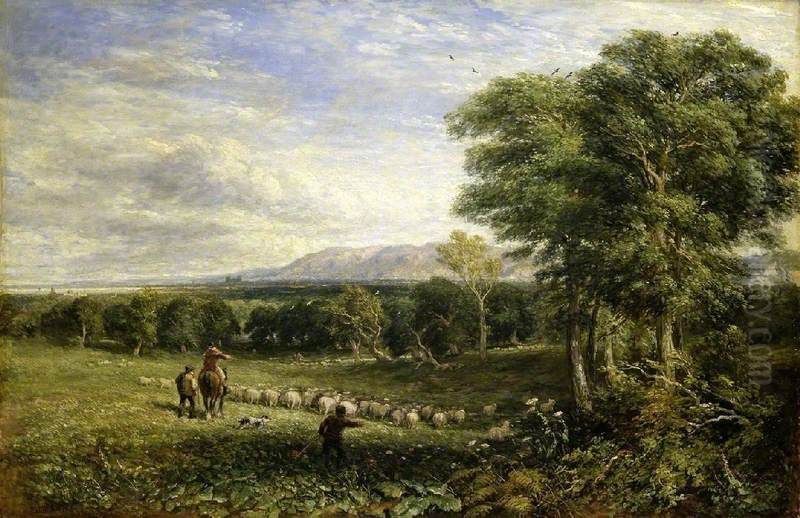 The Vale Of Clwyd Oil Painting by David Cox