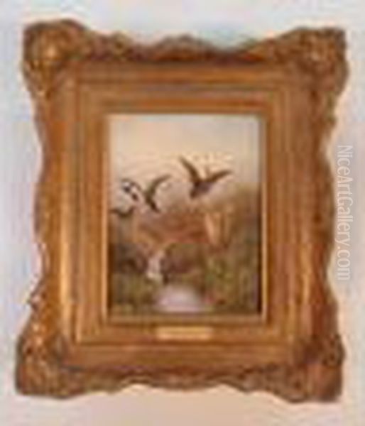 Fox And Mallard Ducks On The
Marsh Oil Painting by William Cruickshank