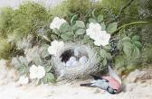 Still Life Of Dog Roses, Bird's 
Nest Andfallen Bullfinch On A Mossy Bank; Still Life Of Wild 
Flowers,bird's Nest And Fallen Goldfinch On A Mossy Bank; A Pair Oil Painting by William Cruickshank