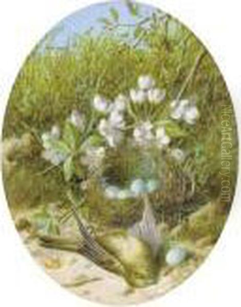 Still Life Of Apple Blossom, A 
Bird's Nest And Eggs; And Still Life Of Blossom, A Bird And A Bird's 
Nest Oil Painting by William Cruickshank