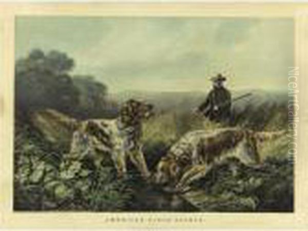 American Field Sports: 