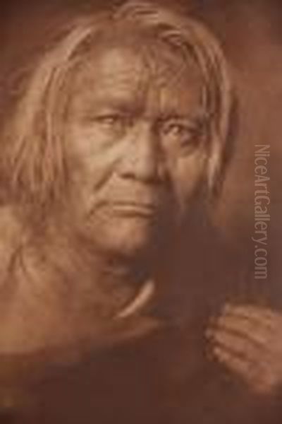 Duck White Oil Painting by Edward Sherrif Curtis