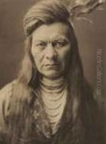 Black Eagle Oil Painting by Edward Sherrif Curtis