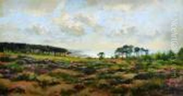 La Lande En Fleurs Pres De La Mer Oil Painting by Pierre-Emmanuel Damoye