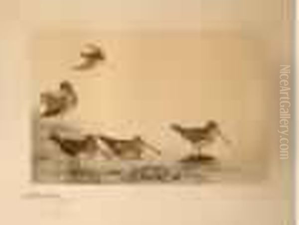 Les Becassines Oil Painting by Leon Danchin