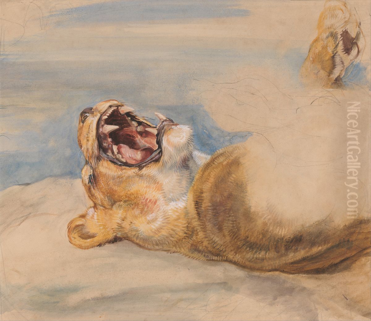 Study of a Lioness Oil Painting by John Frederick Lewis