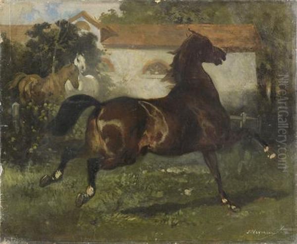 Etude De Cheval Au Galop
Toile Oil Painting by Alfred De Dreux