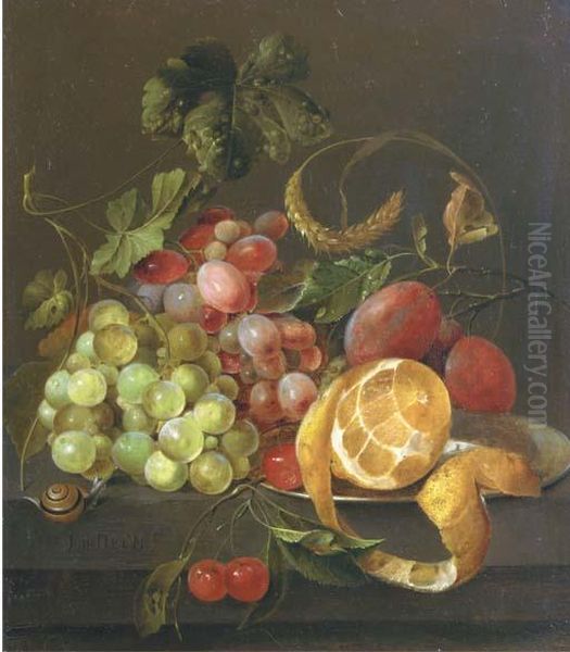 A Partly Peeled Orange On A 
Pewter Platter With Grapes, Plums,cherries And A Snail, On A Stone Ledge Oil Painting by Jan Davidsz De Heem
