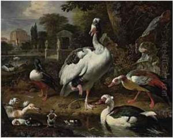 A Grey And White Crested Goose, A
 Shoveler, A Muscovy Duck,goslings, Ducklings And Other Fowl In A Park, 
Elegant Buildingsbeyond Oil Painting by Melchior de Hondecoeter