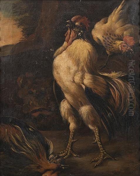 Two Cockerels Fighting In A 
Landscape; And A Cockerel Victorious Over Another Cockerel With A Hen In
 A Landscape Oil Painting by Melchior de Hondecoeter