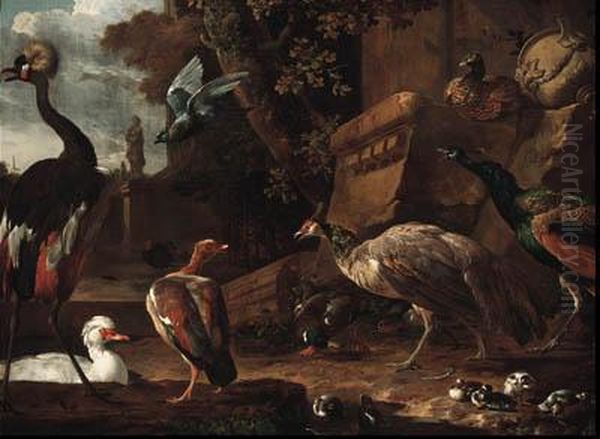 An East African Crane, A White 
Snow Goose, A Dutch Goose, A Mallardduck And Hen With Their Duckling, A 
Peahen, A Peacock, A Pheasant,a Turkey And A Pigeon In A Park Oil Painting by Melchior de Hondecoeter